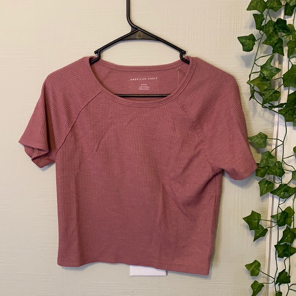 American Eagle Crop Top